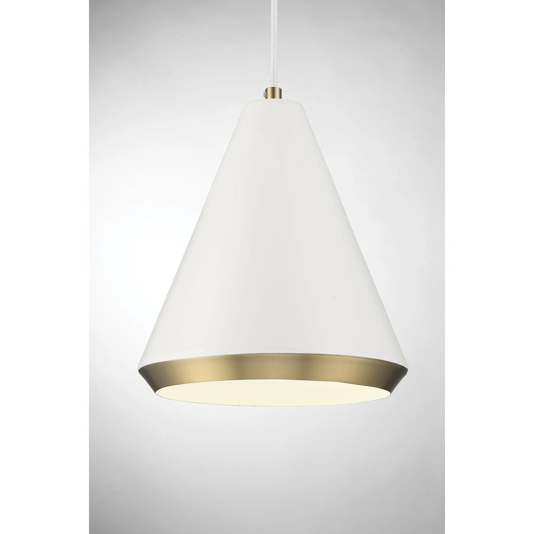 1-Light Pendant