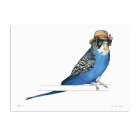 Birds In Hats Print - Budgie in a Trilby A4