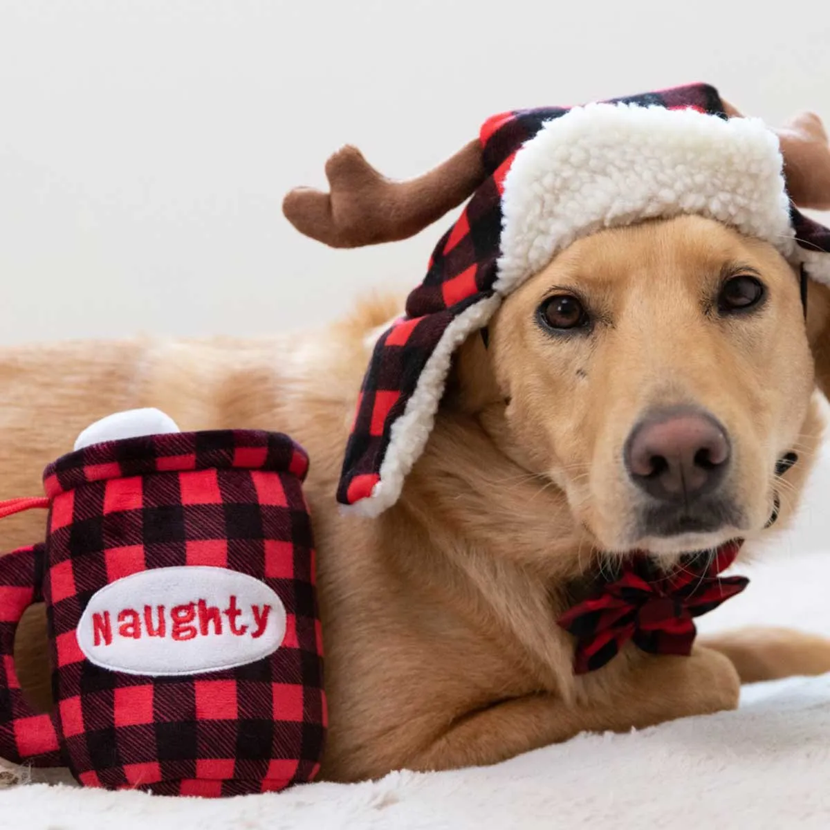 Buffalo Check Trapper Hat