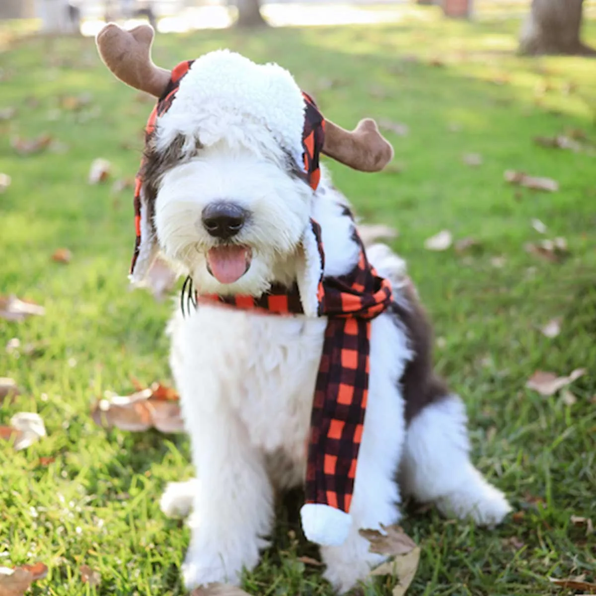 Buffalo Check Trapper Hat