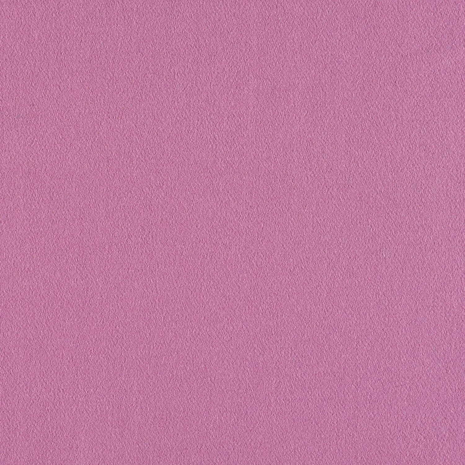 Construct - Wisteria - 4079 - 08
