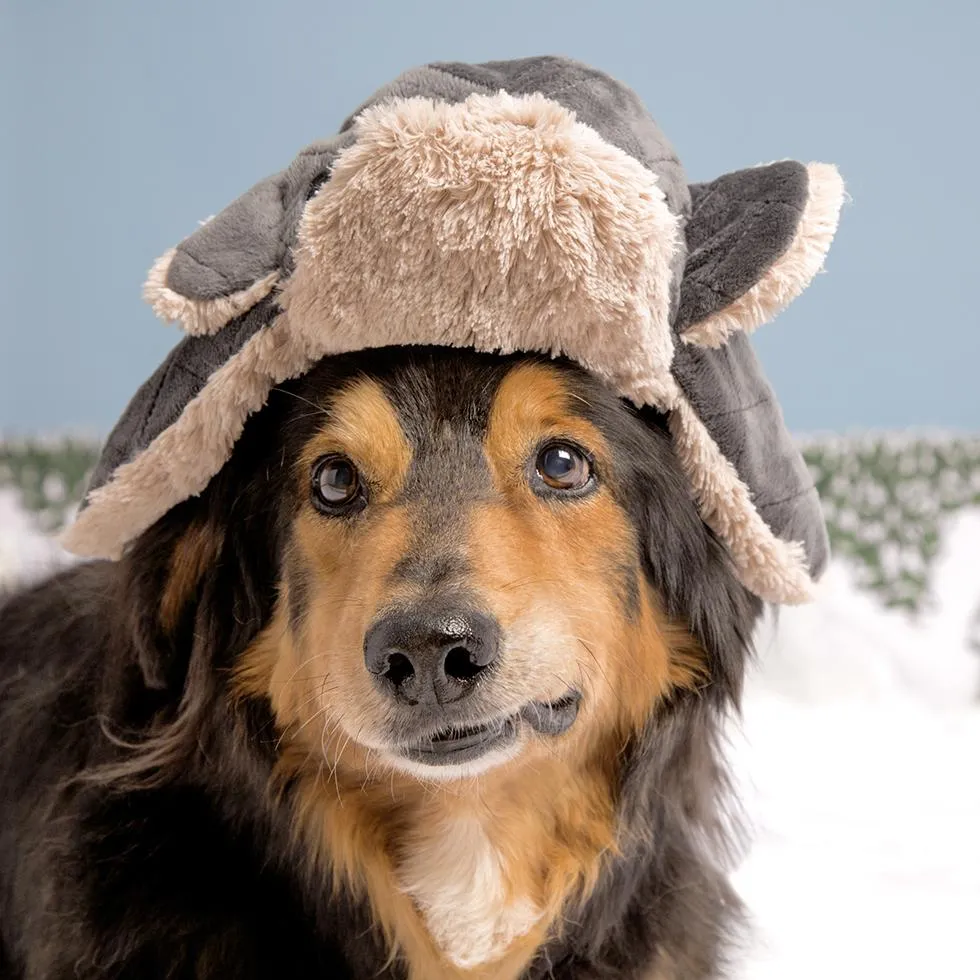 Mishka's Warm Winter Hat