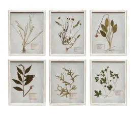 White Framed Botanical Art, 6 styles