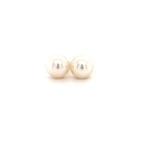 White Pearl Stud 8.5mm Earrings in 14K Yellow Gold